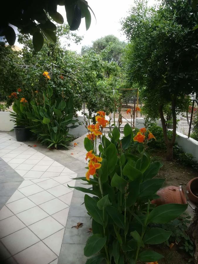 Apollo Hotel Kavos Luaran gambar