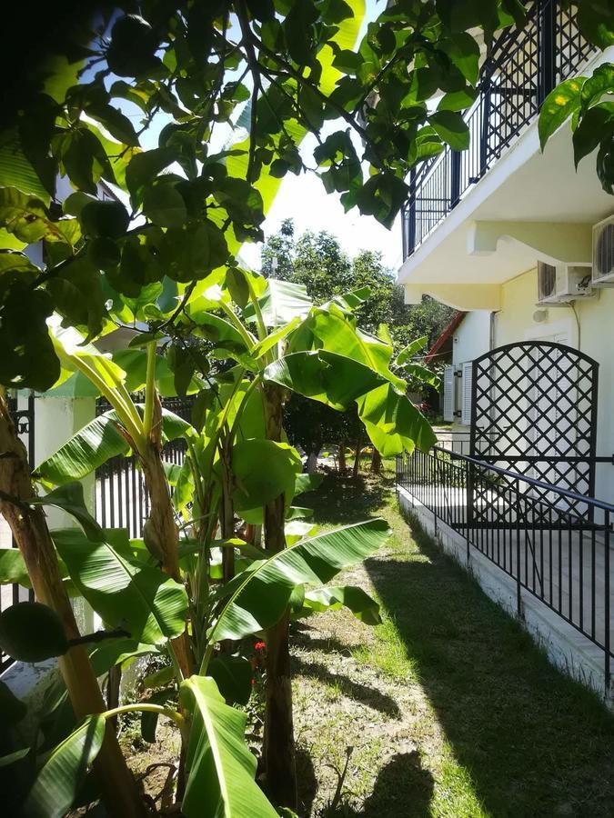Apollo Hotel Kavos Luaran gambar