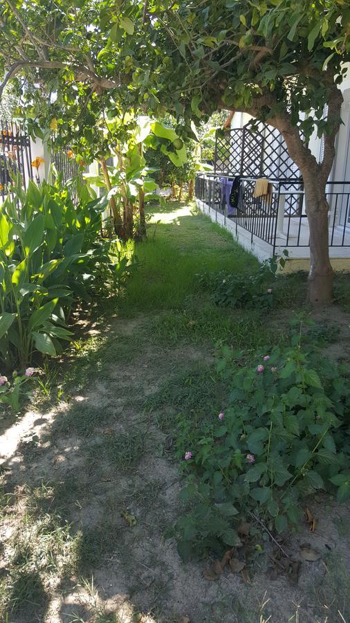 Apollo Hotel Kavos Luaran gambar