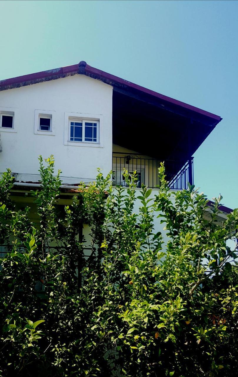 Apollo Hotel Kavos Luaran gambar